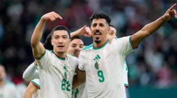 اللقاء المنتظر.. موعد مباراة الجزائر والكونغو الديمقراطية في كأس أمم إفريقيا